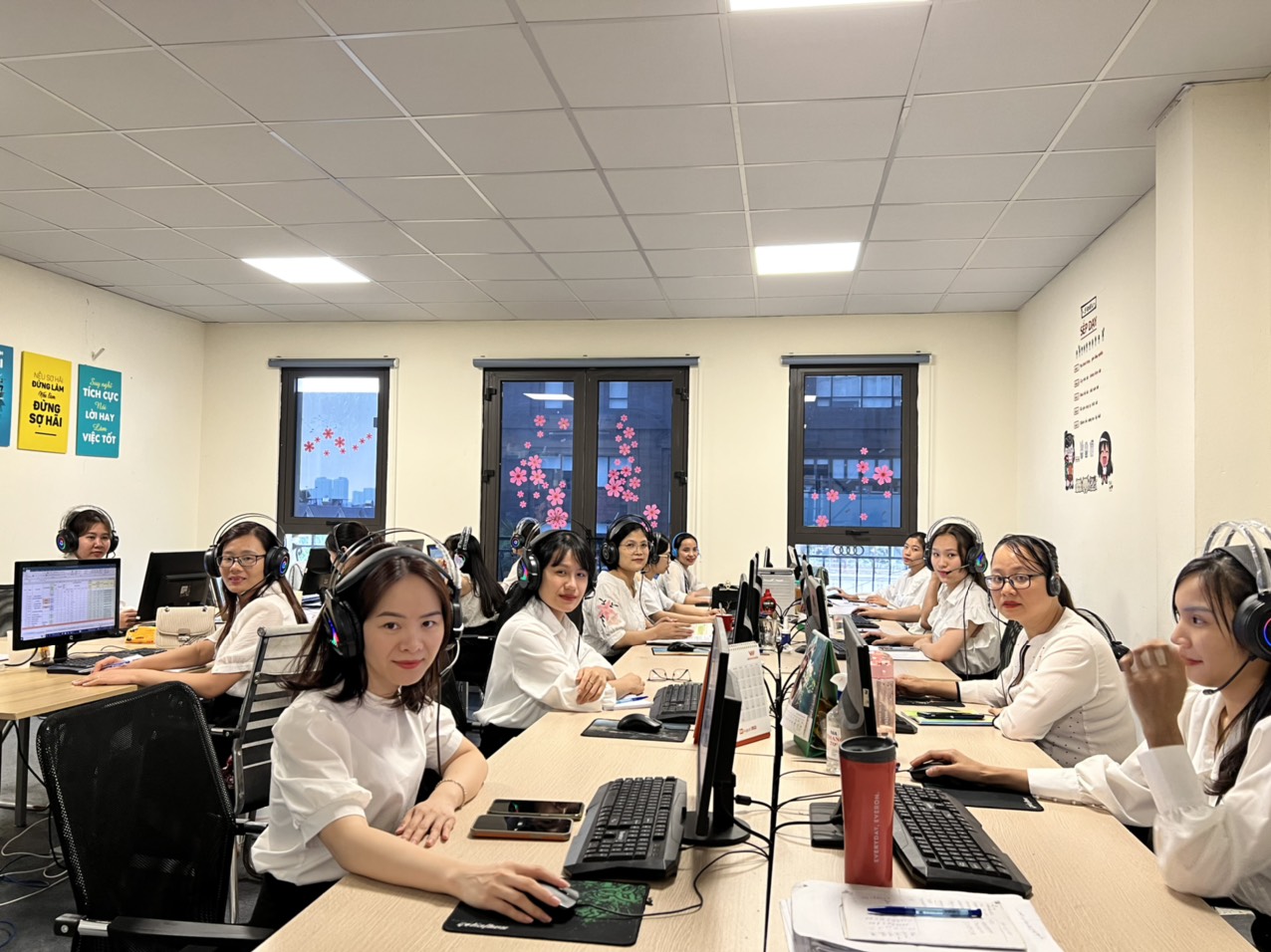 lĩnh vực hoạt động